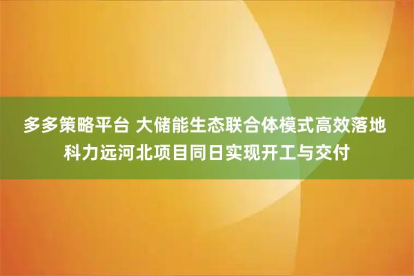 多多策略平台 大储能生态联合体模式高效落地 科力远河北项目同日实现开工与交付