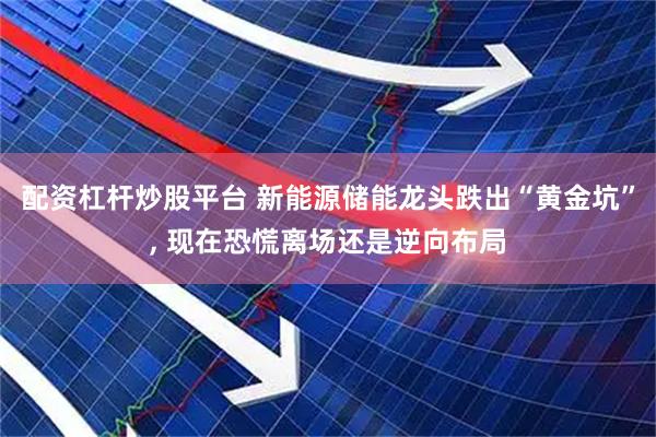 配资杠杆炒股平台 新能源储能龙头跌出“黄金坑”, 现在恐慌离场还是逆向布局